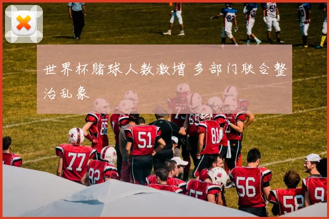世界杯赌球人数激增 多部门联合整治乱象
