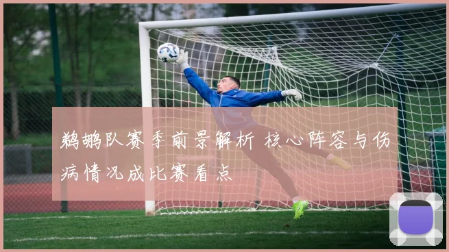 鹈鹕队赛季前景解析 核心阵容与伤病情况成比赛看点