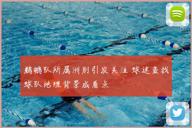 鹈鹕队所属洲别引发关注 球迷查找球队地理背景成看点