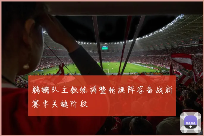 鹈鹕队主教练调整轮换阵容备战新赛季关键阶段