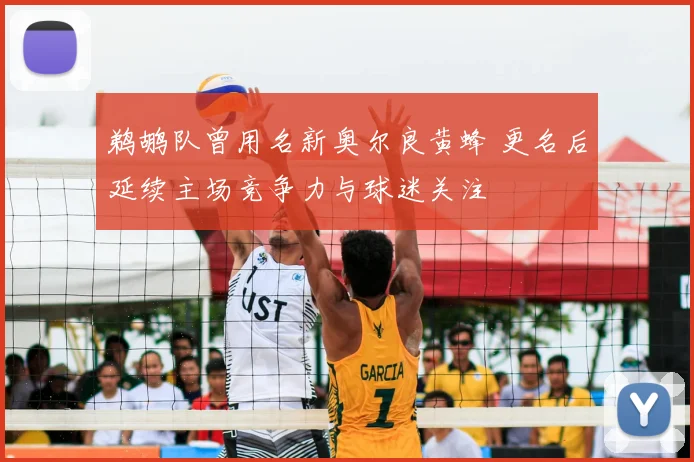 鹈鹕队曾用名新奥尔良黄蜂 更名后延续主场竞争力与球迷关注