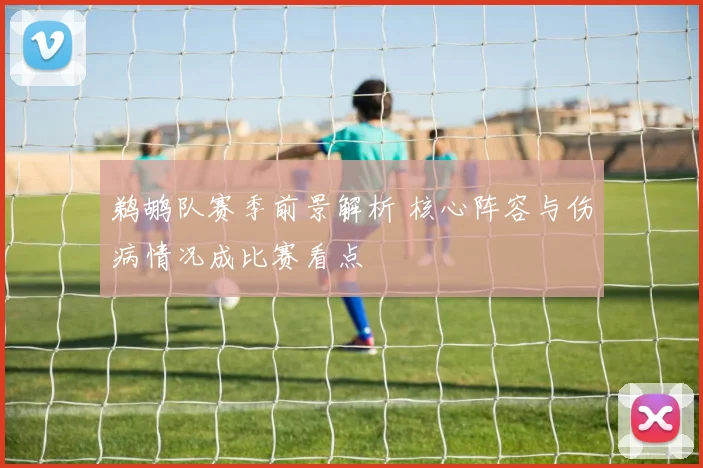 鹈鹕队赛季前景解析 核心阵容与伤病情况成比赛看点